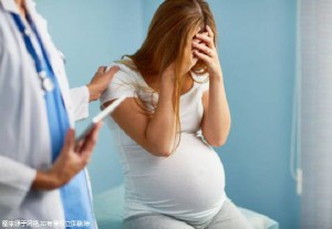 首席专家